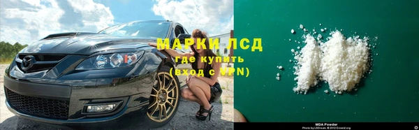прущие грибы Балабаново